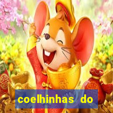 coelhinhas do brasil acompanhantes